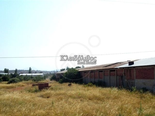 Οικόπεδο 17.500 τ.μ.