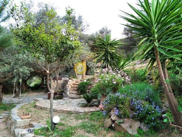 4-bedroom freehold villa in Chania — photo 3 of 5