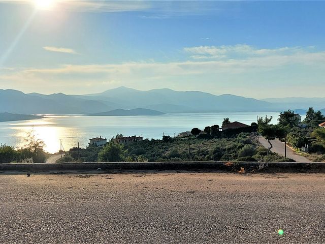 Οικόπεδο 1.013 τ.μ.