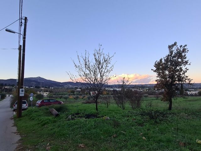 Terrains à vendre Afidnes Terrain 11.000 m².