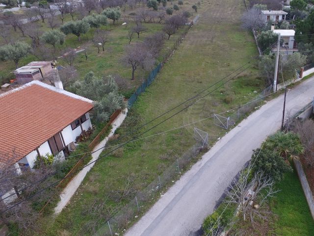 Οικόπεδο 1.228 τ.μ.
