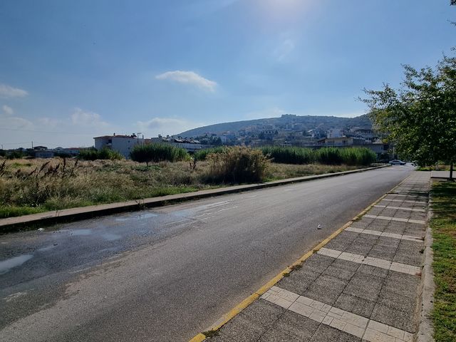 Οικόπεδο 3.700 τ.μ.