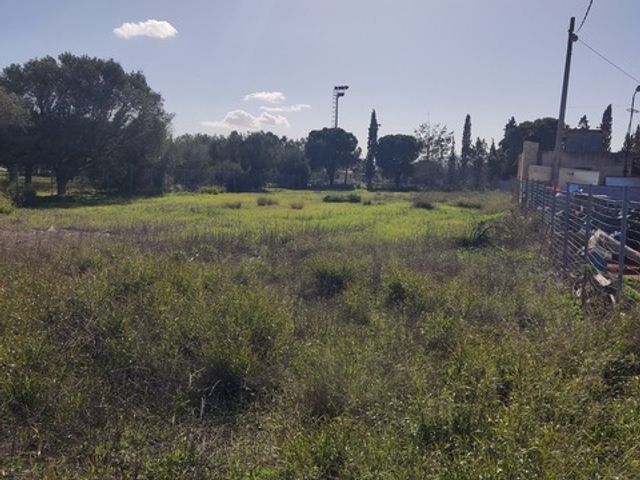 Αγροτεμάχιο 2.100 τ.μ.