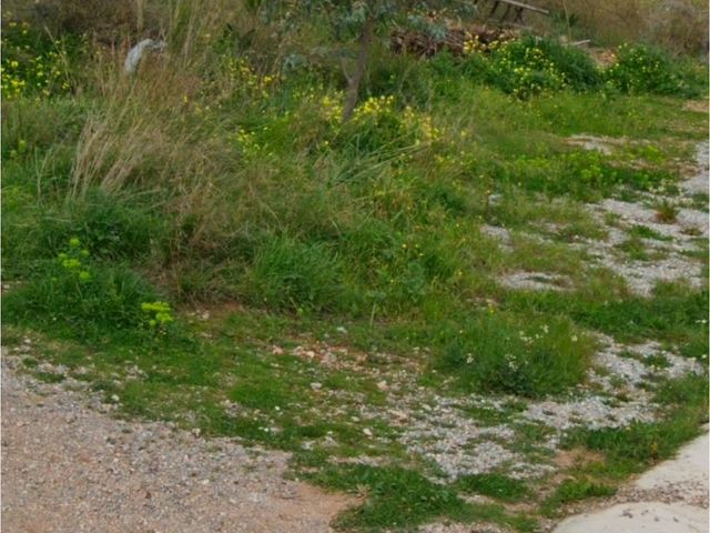 Οικόπεδο 271 τ.μ.
