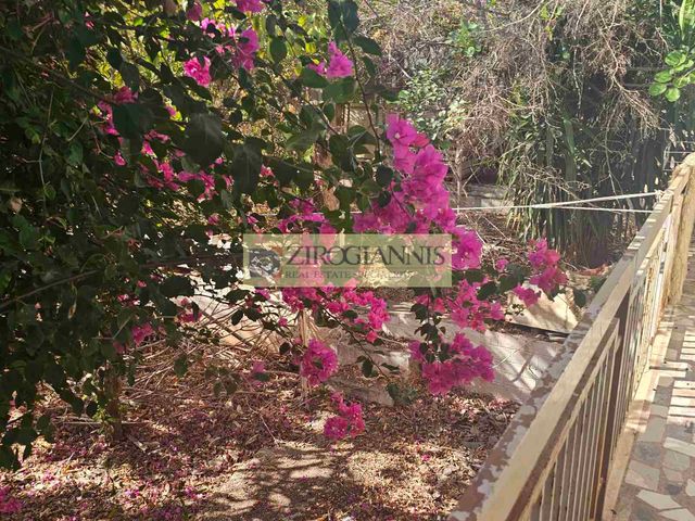 Πώληση κατοικίας Άρτεμις Μονοκατοικία 85 τ.μ.