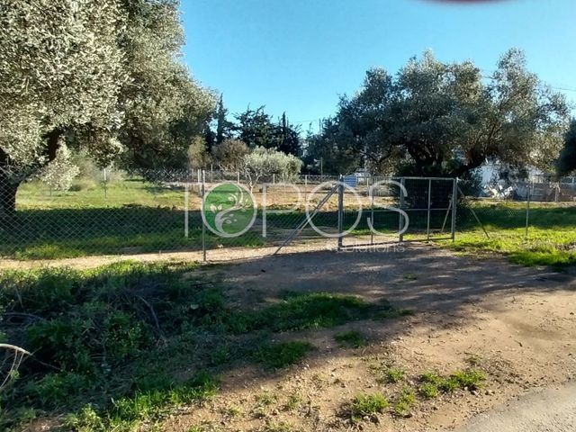 Land for sale Marousi (Paradisos) Plot 617 sq.m.