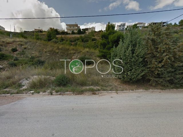 Land for sale Drafi Plot 697 sq.m.