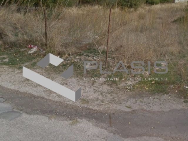 Οικόπεδο 1.000 τ.μ.
