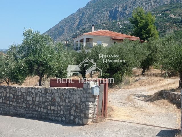 Μονοκατοικία 238 τ.μ.