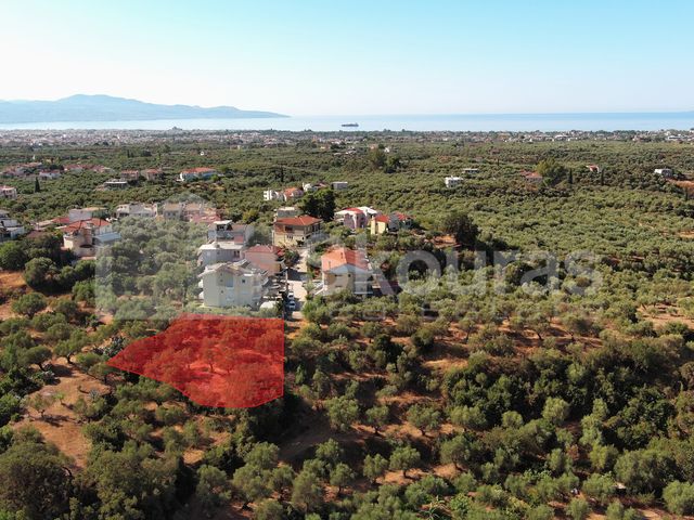 Οικόπεδο 938 τ.μ.