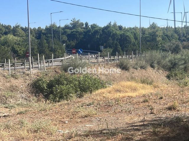 Οικόπεδο 8.000 τ.μ.