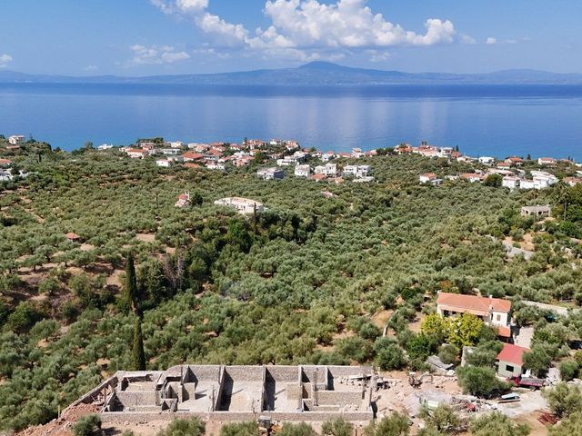 Μονοκατοικία 458 τ.μ.