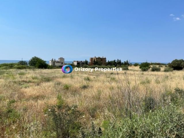Οικόπεδο 4.087 τ.μ.