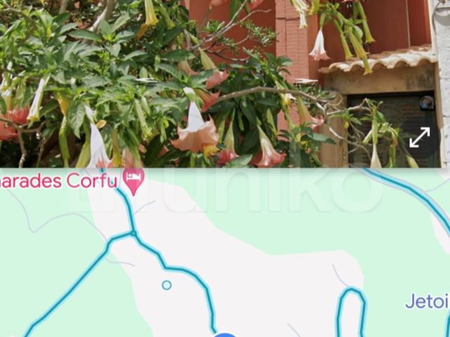 3-bedroom freehold villa in Corfu — photo 3 of 4
