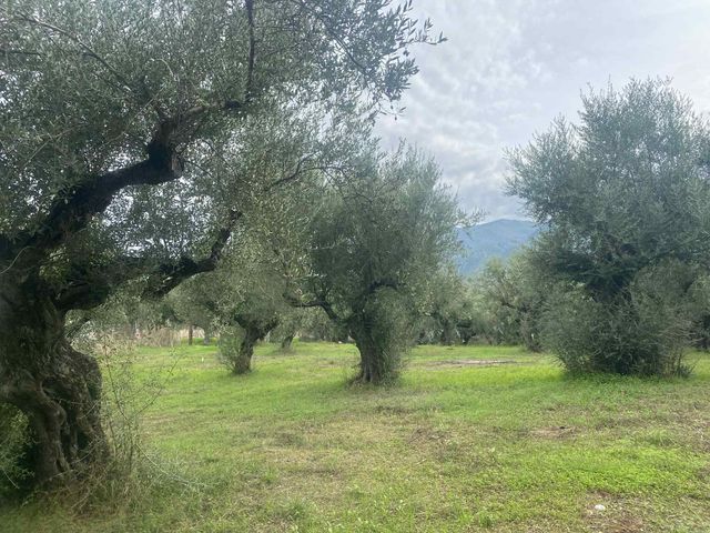 Οικόπεδο 560 τ.μ.