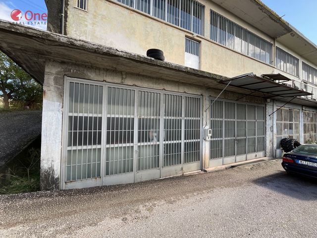 Κτίριο επαγγελματικών χώρων 165 τ.μ.