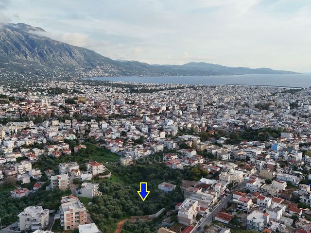 Οικόπεδο 655 τ.μ.