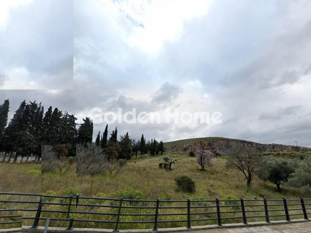 Αγροτεμάχιο 6.238 τ.μ.
