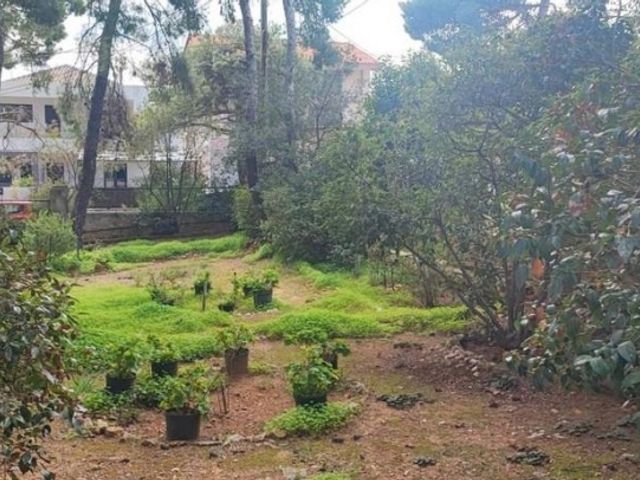 Οικόπεδο 250 τ.μ.