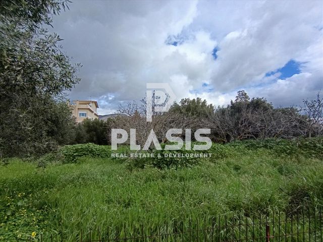 Οικόπεδο 1.300 τ.μ.