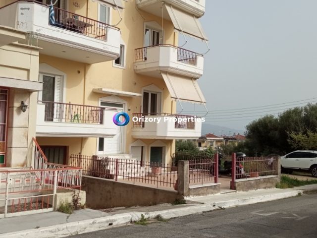 Μονοκατοικία 247 τ.μ.