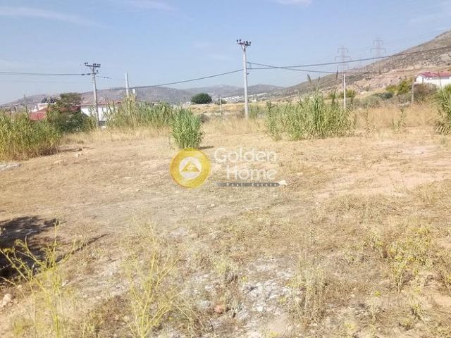 Αγροτεμάχιο 2.000 τ.μ.