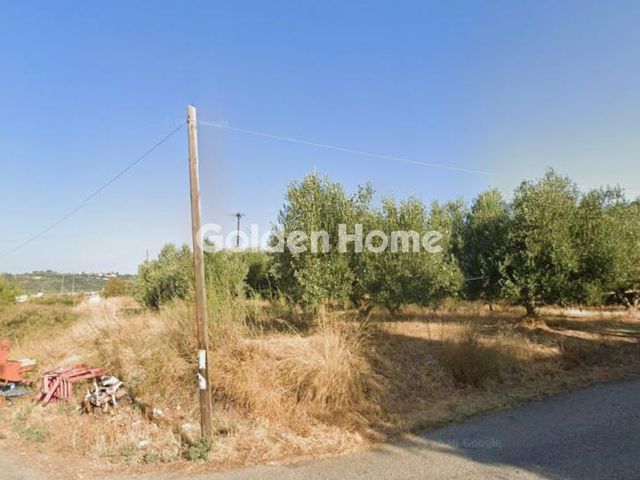 Αγροτεμάχιο 1.800 τ.μ.
