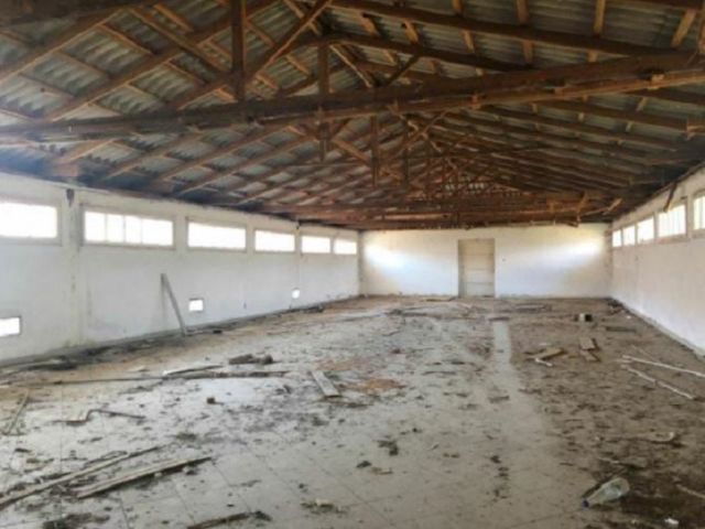 Αγροτεμάχιο 6.500 τ.μ.