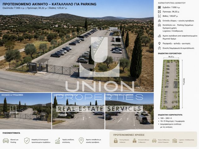 Αγροτεμάχιο 6.000 τ.μ.