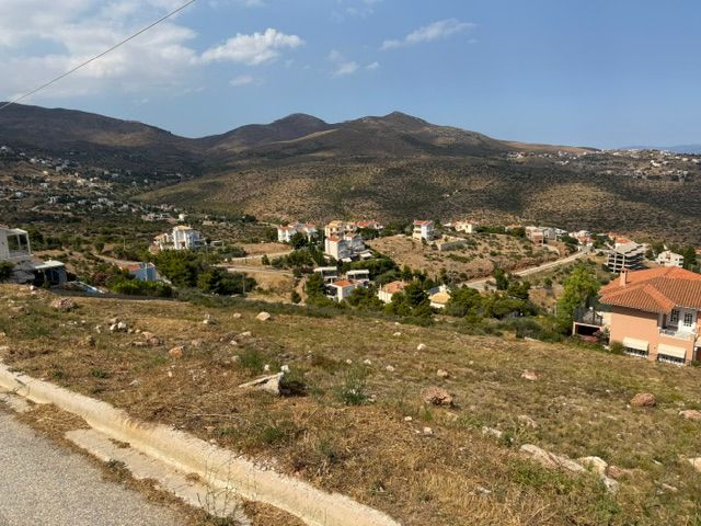 Οικόπεδο 2.960 τ.μ.