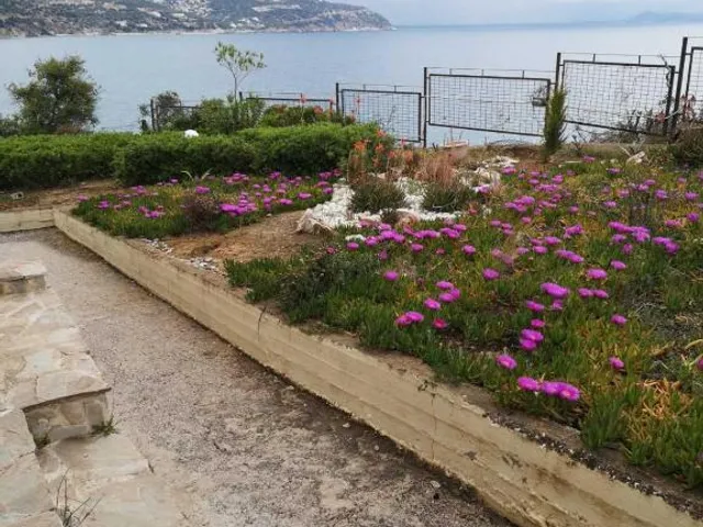 Property in Greece