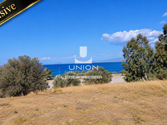 Οικόπεδο 2.628 τ.μ.