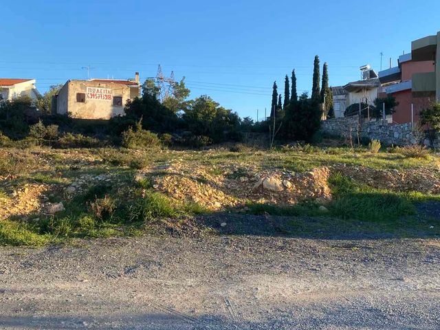 Οικόπεδο 1.000 τ.μ.