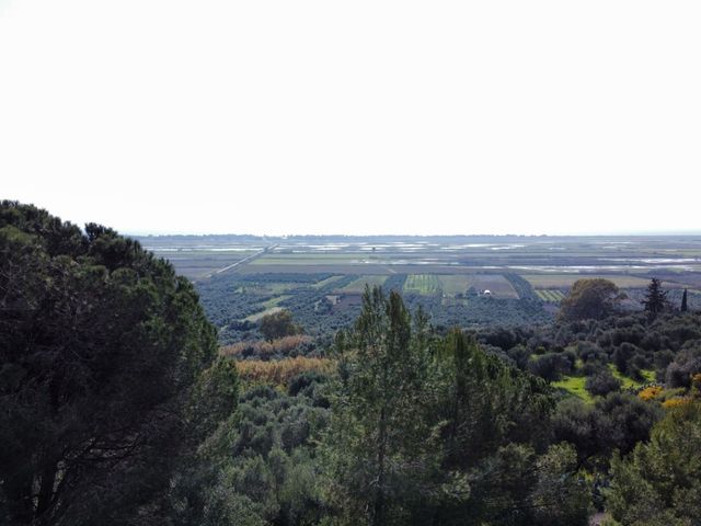 Οικόπεδο 2.200 τ.μ.