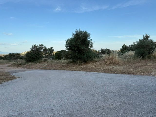 Οικόπεδο 310 τ.μ.