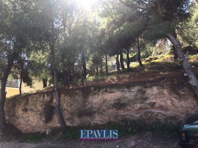 Οικόπεδο 788 τ.μ.